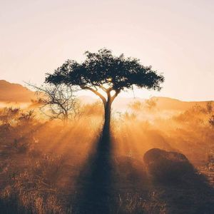 Meet your Posher, Kaleb